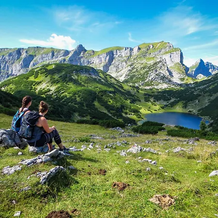 Alps & Maple Brandenberg