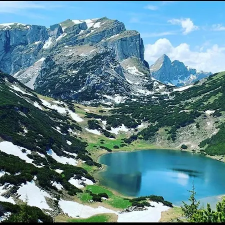 Apartament Alps & Maple *